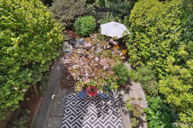 bird's eye view