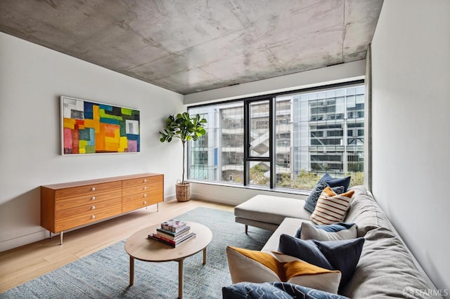 living room with wood-type flooring