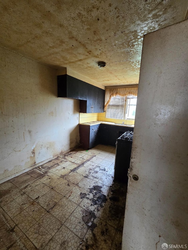 kitchen featuring dark cabinets