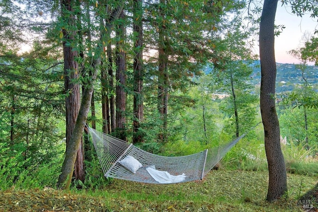 view of nature at dusk