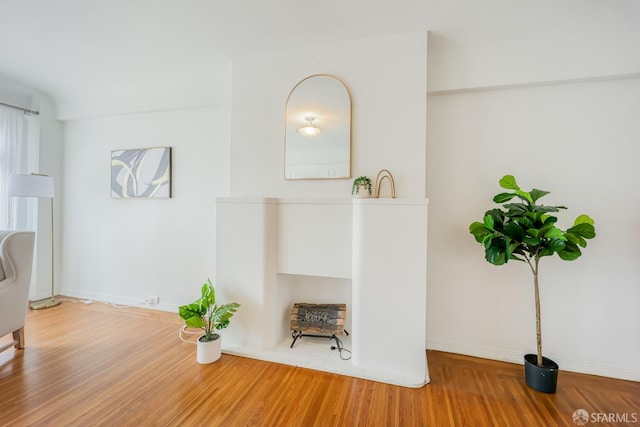 interior details featuring hardwood / wood-style floors