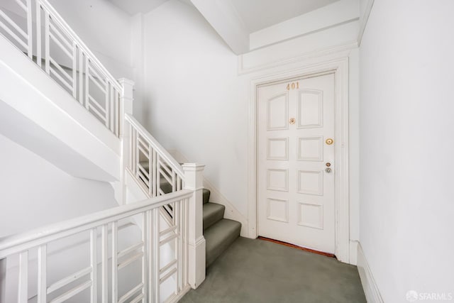 staircase with carpet floors