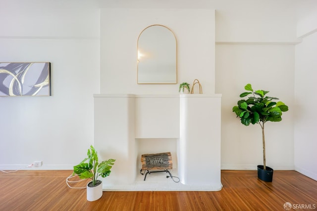 room details with hardwood / wood-style flooring