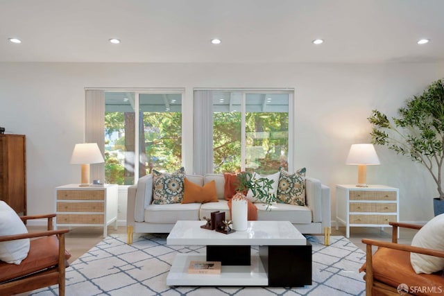 living room featuring light hardwood / wood-style flooring