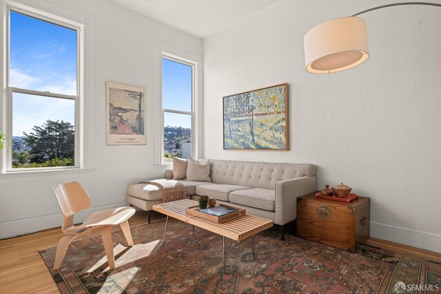 living room with baseboards and wood finished floors