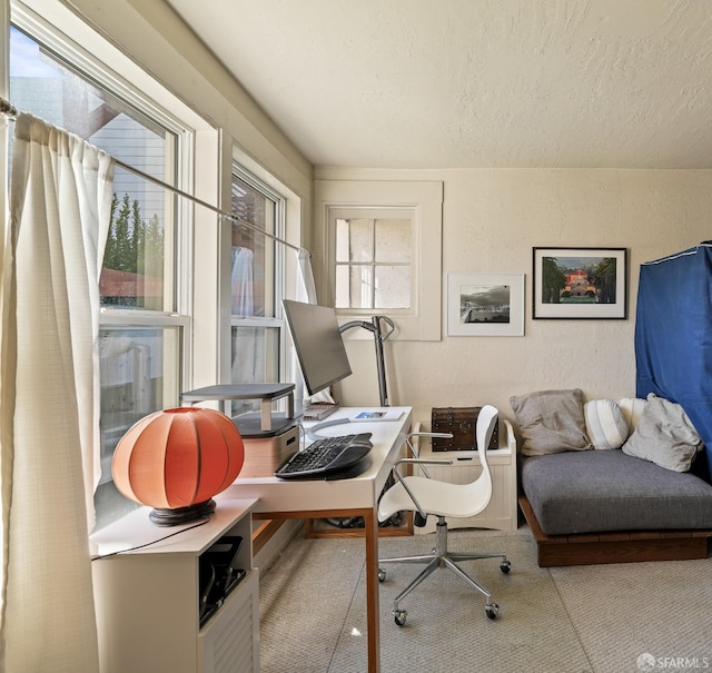 home office with a textured wall and a textured ceiling