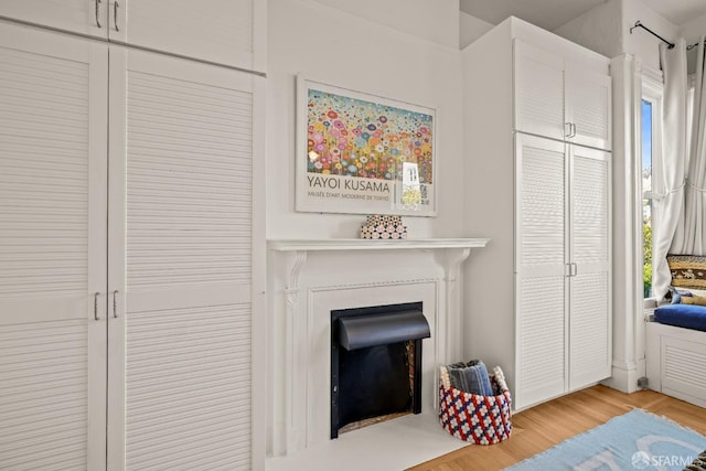 interior space with a fireplace and wood finished floors