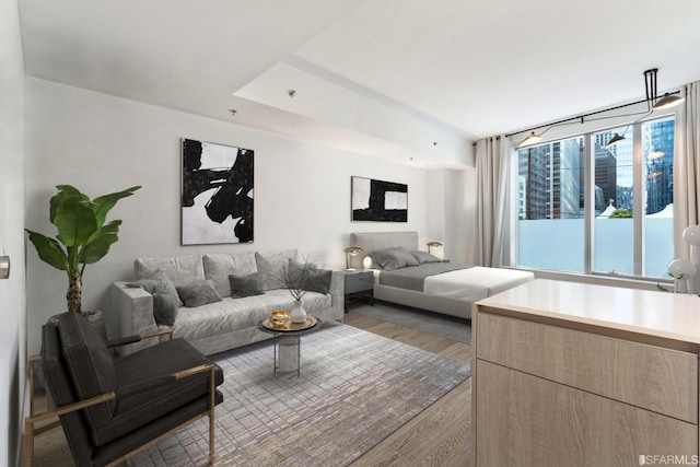 201 Folsom St Unit 2A, San Francisco, CA 94105 - living room featuring wood finished floors