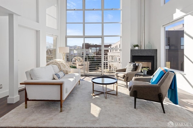 living room with a high ceiling and wood-type flooring