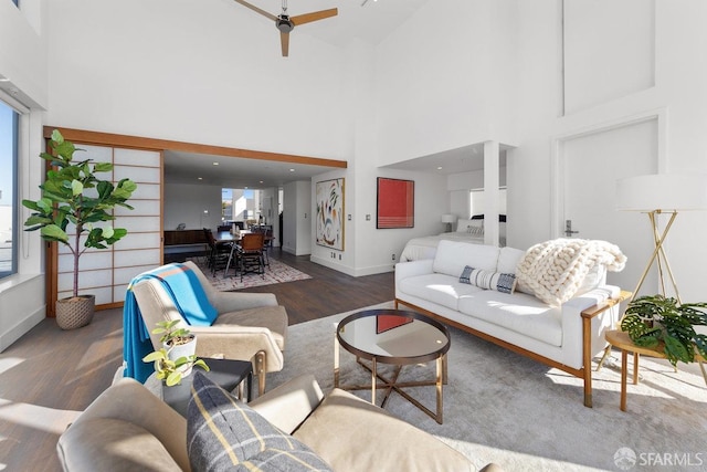 living room featuring a towering ceiling and dark hardwood / wood-style flooring