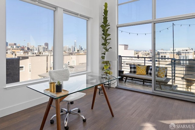 office featuring a healthy amount of sunlight and dark wood-type flooring