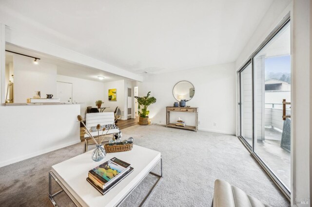 148 Larkspur Plaza Dr, Larkspur, CA 94939 - carpeted living area featuring baseboards