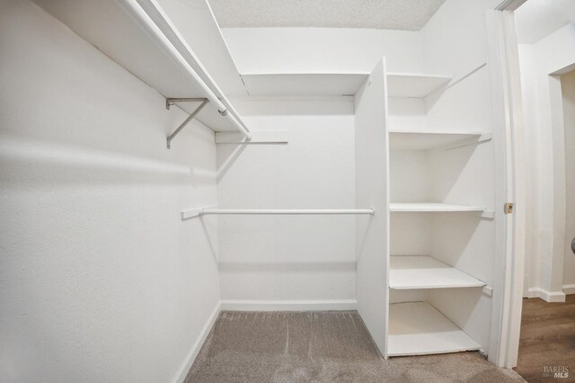 148 Larkspur Plaza Dr, Larkspur, CA 94939 - spacious closet featuring carpet