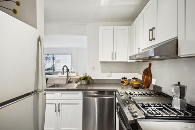 148 Larkspur Plaza Dr, Larkspur, CA 94939 - kitchen featuring stainless steel appliances, a sink, under cabinet range hood, and white cabinetry
