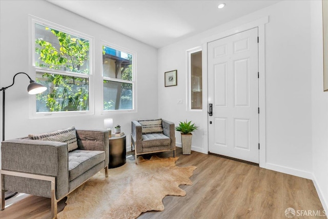114 Emerald Cove Ter, San Francisco, CA 94134 - living area featuring wood finished floors, baseboards, and recessed lighting