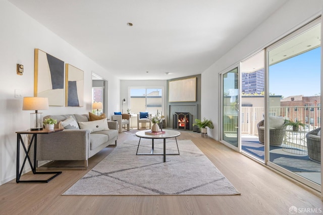 389 Belmont St Unit 306, Oakland, CA 94610 - living area featuring light wood-style floors and a warm lit fireplace