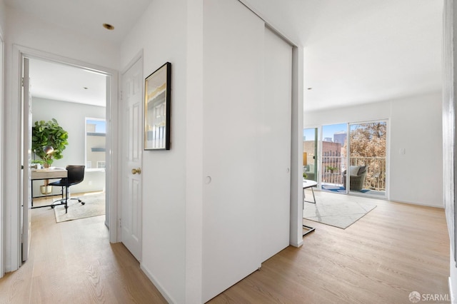 389 Belmont St Unit 306, Oakland, CA 94610 - corridor with light wood-style floors and a desk