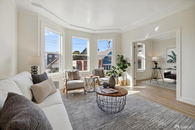 living area featuring baseboards, plenty of natural light, wood finished floors, and a raised ceiling
