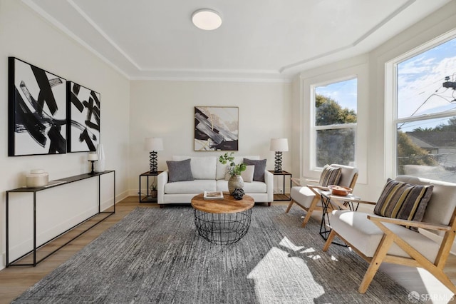 interior space featuring a tray ceiling, a healthy amount of sunlight, and wood finished floors