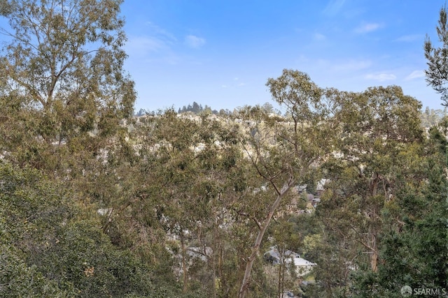 110 Sheridan Rd, Oakland, CA 94618 - view of woods