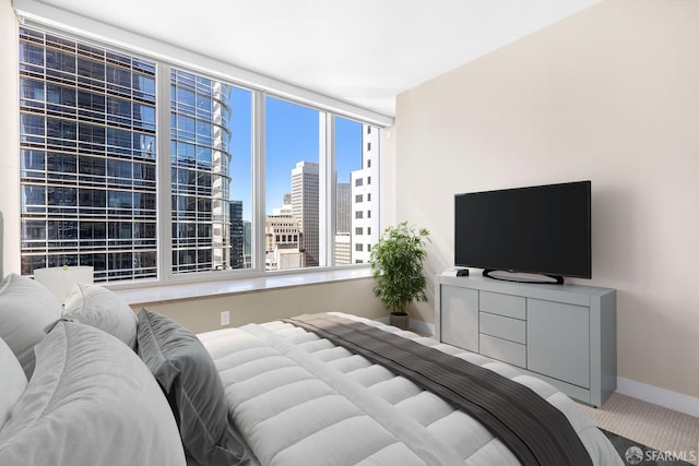 bedroom with light carpet