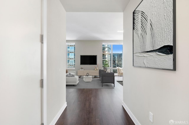 corridor featuring dark hardwood / wood-style flooring