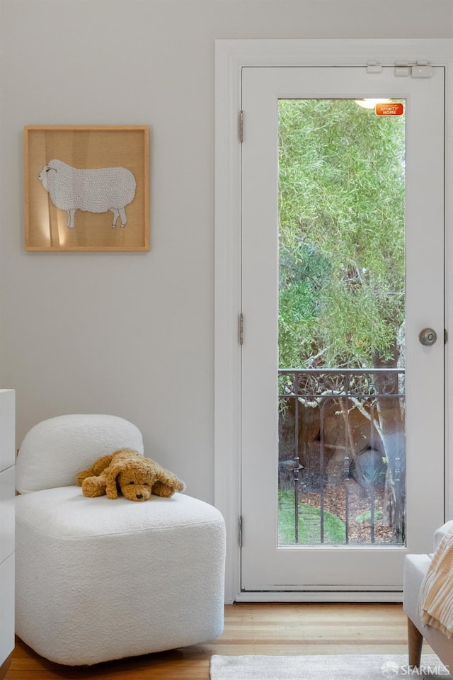 entryway with hardwood / wood-style floors and plenty of natural light