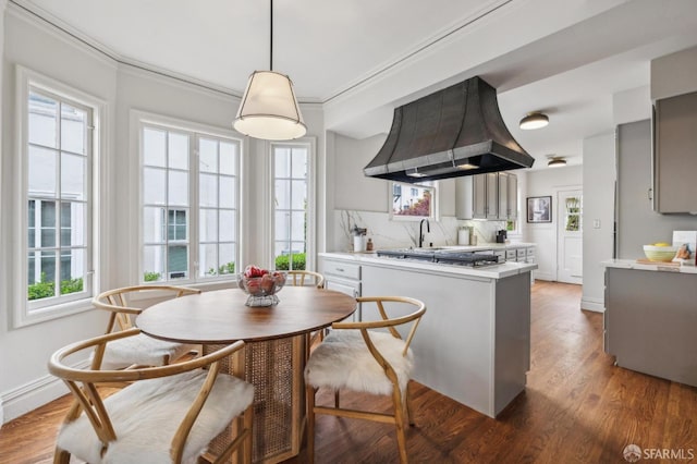 kitchen featuring a wealth of natural light, range hood, light countertops, and wood finished floors
