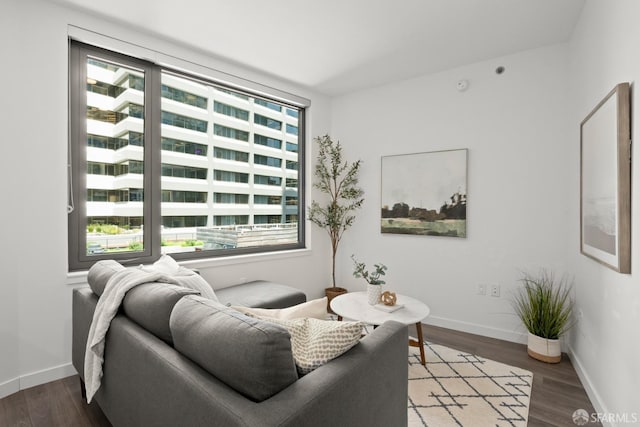 living room featuring wood-type flooring