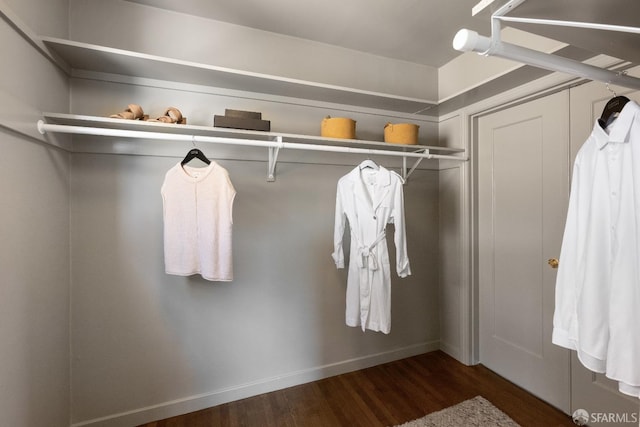 walk in closet with dark hardwood / wood-style flooring