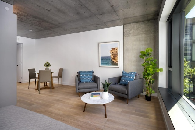 interior space featuring light wood-type flooring and a healthy amount of sunlight