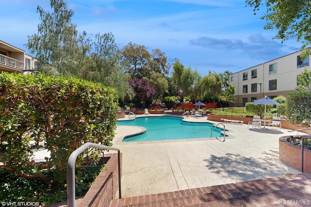 460 N Civic Dr Unit 317, Walnut Creek, CA 94596 - community pool featuring a patio