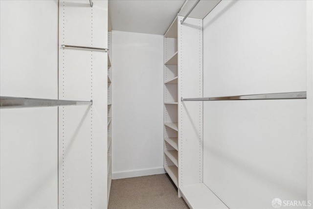 spacious closet with light colored carpet