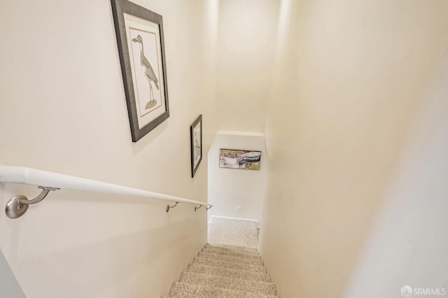 stairs with carpet floors