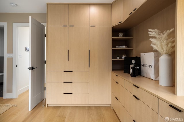 view of closet