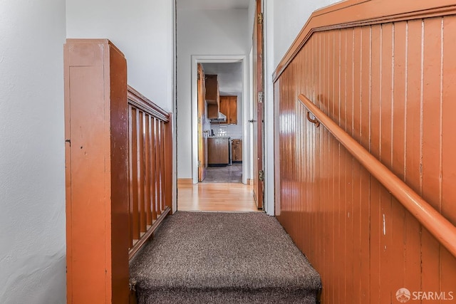 hallway featuring carpet floors