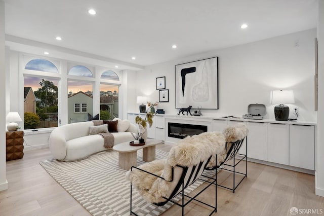 26 Southwood Dr, San Francisco, CA 94112 - living room featuring recessed lighting, light wood finished floors, and a glass covered fireplace