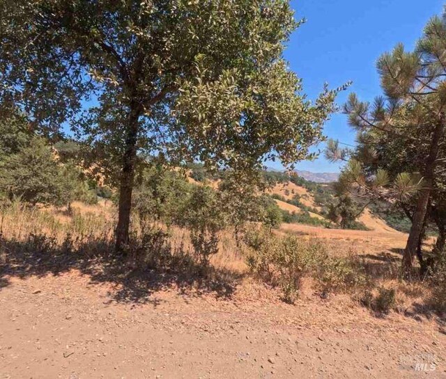 7290 Black Bart Trl, Redwood Valley, CA 95470 - photo 6