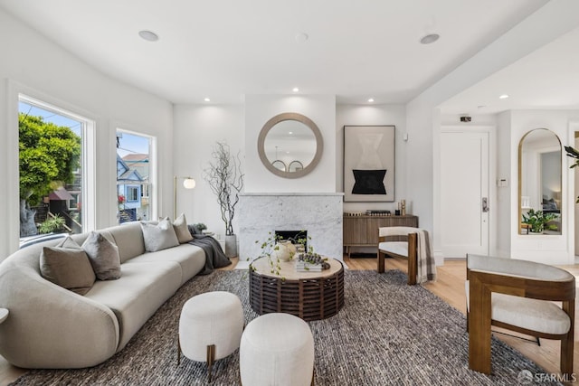 267 Bonview St, San Francisco, CA 94110 - living area with recessed lighting, wood finished floors, and a high end fireplace