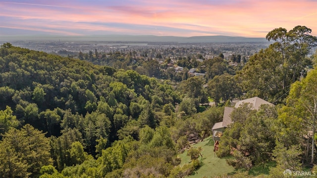 aerial view featuring a wooded view