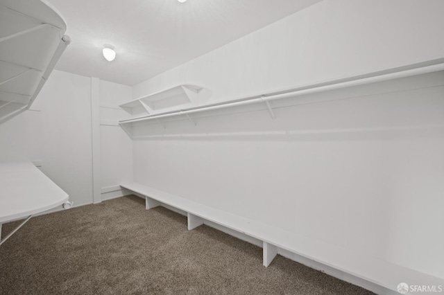 spacious closet featuring carpet flooring