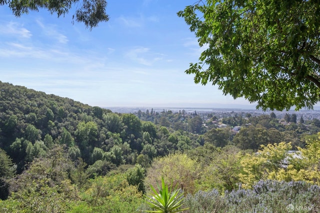 view of landscape featuring a forest view