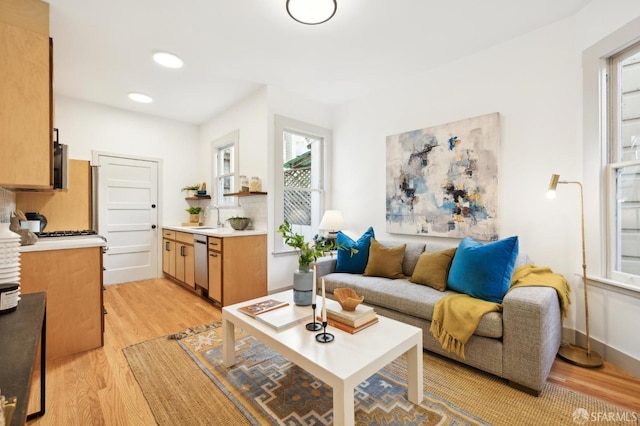 living room with light wood-type flooring and sink