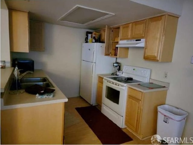 kitchen featuring sink, light brown cabinetry, and white appliances