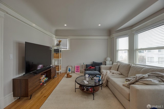 living room with light hardwood / wood-style floors