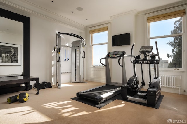 workout area with radiator heating unit, carpet flooring, and crown molding