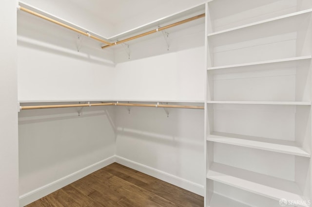 42119 Vinha Way, Fremont, CA 94539 - spacious closet with wood finished floors