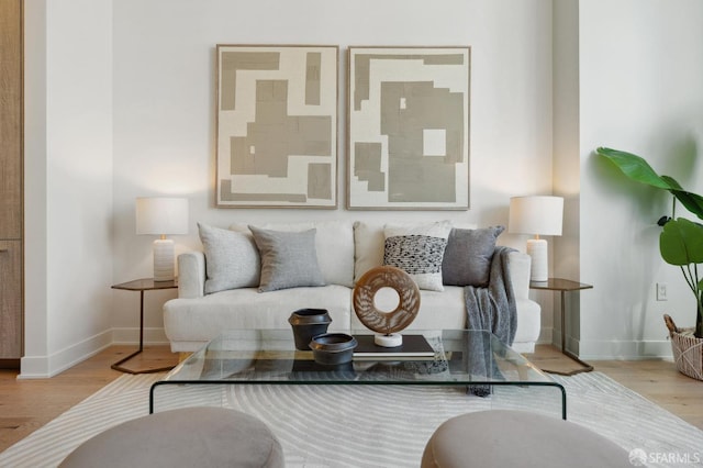 living room featuring light hardwood / wood-style flooring