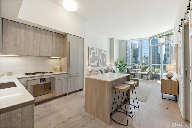 kitchen featuring light wood-type flooring, a center island, a barn door, stainless steel appliances, and a wall of windows