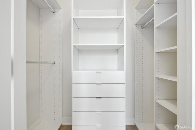 spacious closet featuring wood-type flooring